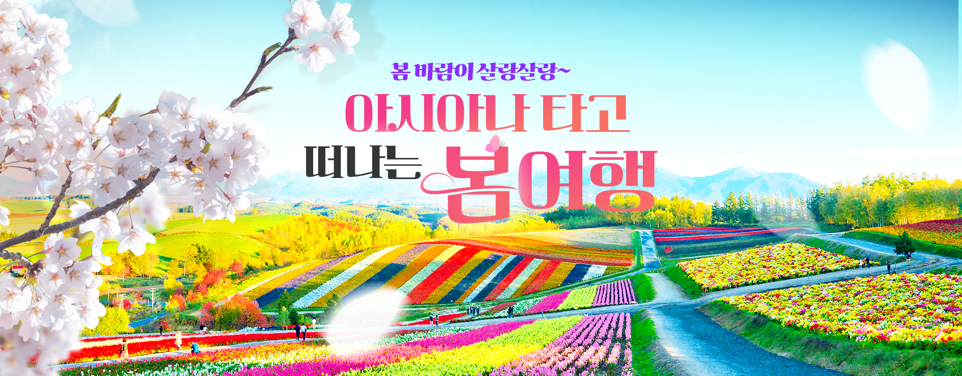 [이벤트] 아시아나 할인 프로모션 (아사히카와)